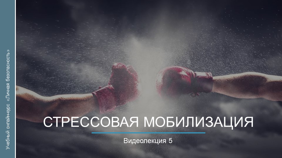 Видеокурс. Стрессовая мобилизация смотреть онлайн
