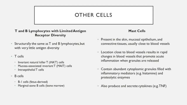 Biocompatibility - Ch. 4 - Innate Immunity смотреть онлайн
