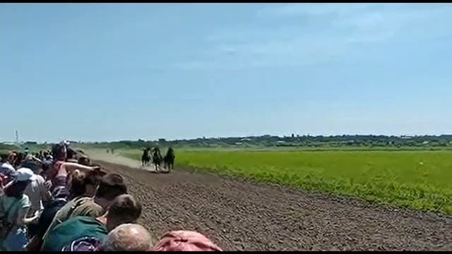 ЖАРКИЕ СКАЧКИ ЛОШАДЕЙ июль 21 смотреть онлайн