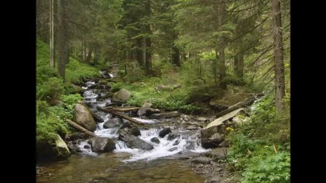 Аффирмация № 2 смотреть онлайн