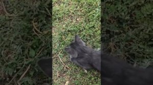 ФАСОЛЬ! Способ хранения,жучков не будет НИКОГДА!