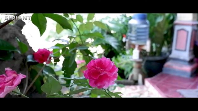 Fujifilm XT200 Cinematic Video Test Handheld Recording With Kit Lens Fujinon XC 15-45mm | Full HD смотреть онлайн
