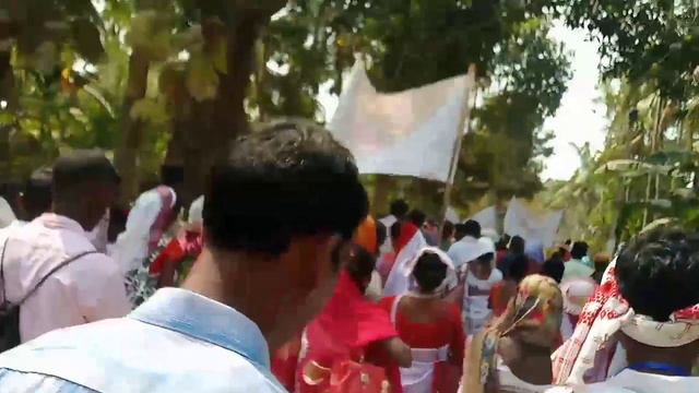 Adivasi Bhokta,kherwar and Gonjhu Samaz Prosetion kaziranga.Adivasi jhumur .chain dance.Adivasi vlo смотреть онлайн