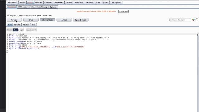 [Burp Suite - 5] How to enable Hidden field in Burp Suite смотреть онлайн