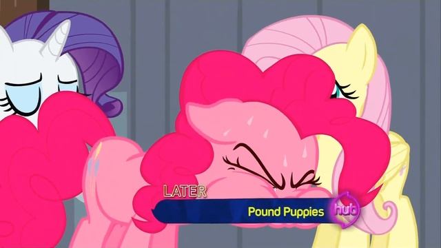 Pinkie Pie - Nopony Breaks A Pinkie Promise!