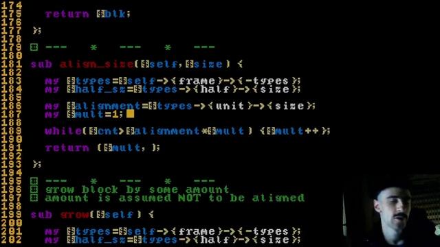 Memory allocation but it's Perl5 смотреть онлайн