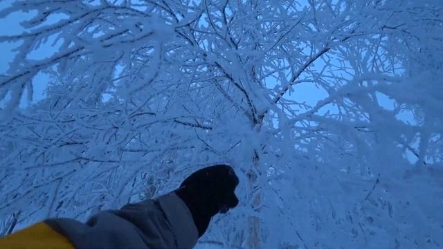 ЗАВЬЯЛИХА 2020. СВЕЖИЙ Обзор!