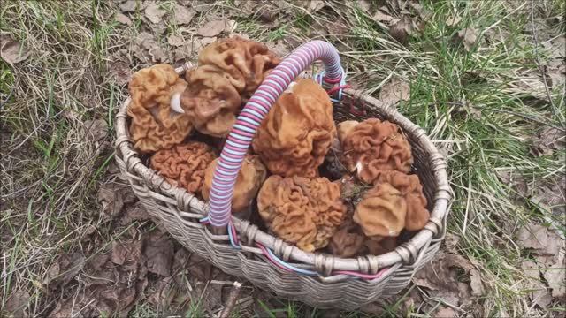 Майские праздники собираем строчки. смотреть онлайн