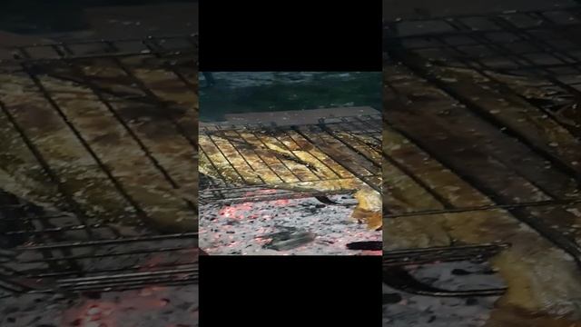 Терпуг на углях