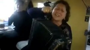 Чеченская песня на гармошке)))