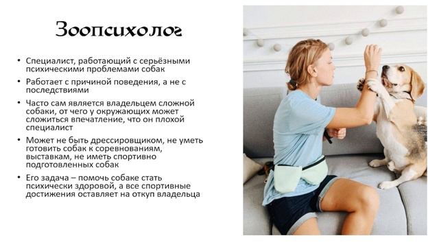 Какие бывают кинологи?