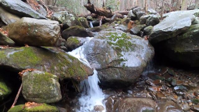 Travel Guide to Great Smoky Mountains National Park смотреть онлайн