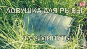 Ловушка для рыбы за 2 минуты
