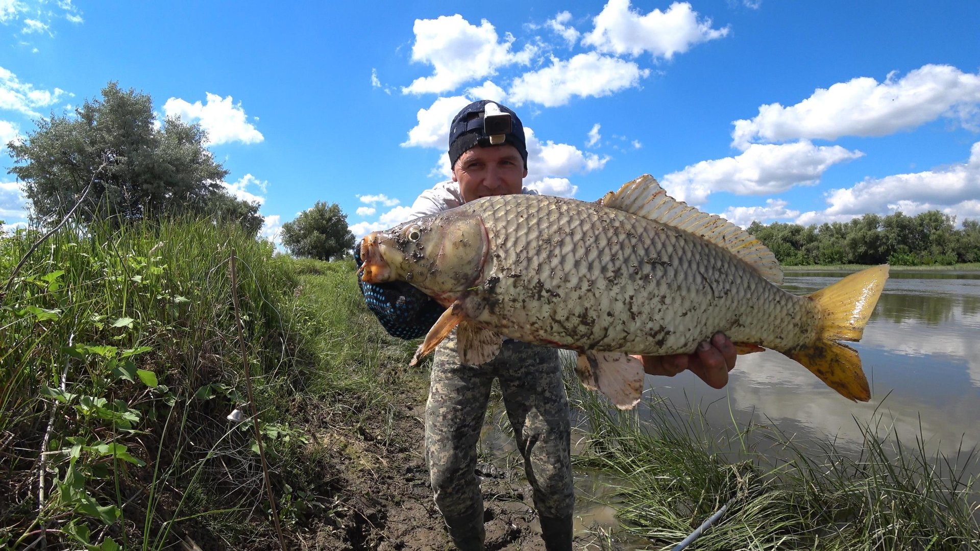 ЗАКИДУШКИ с ОСТРОВА на САЗАНА. Ловля сазана на макушатник, жмых. Рыбалка на сазана. смотреть онлайн