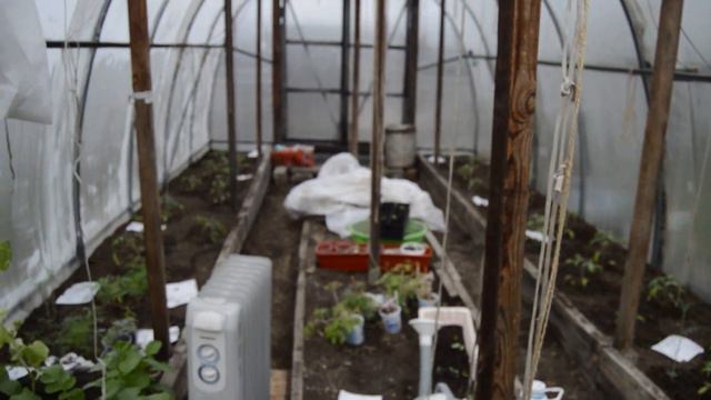 Дача 2021 год