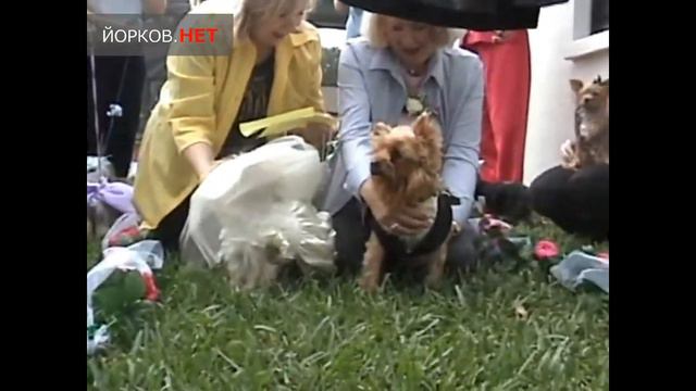 4 свадьба смотреть онлайн