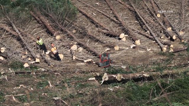 EGGER (UK) Forestry смотреть онлайн