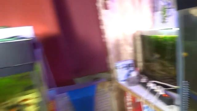 ИЗМЕНЕНИЕ НА РАЗВОДНЕ смотреть онлайн