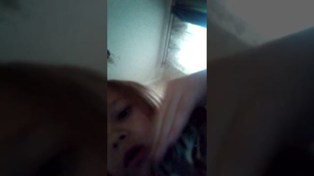 я такая рада что меня много котов это очень хорошо потому что они ловят мышей смотреть онлайн