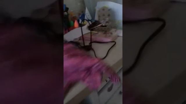 Обзор куклы барби : Безграничные движения. смотреть онлайн