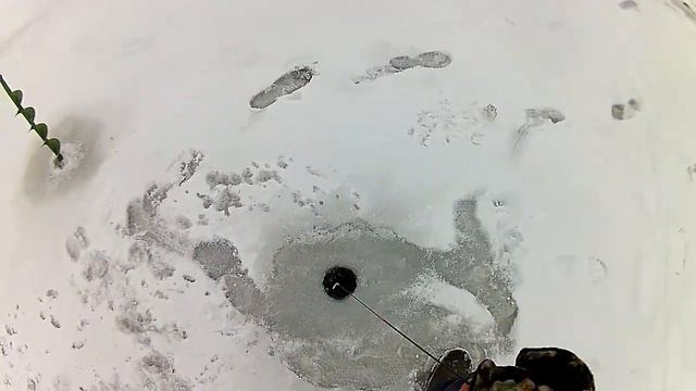 Анимация балансира по окуню. смотреть онлайн