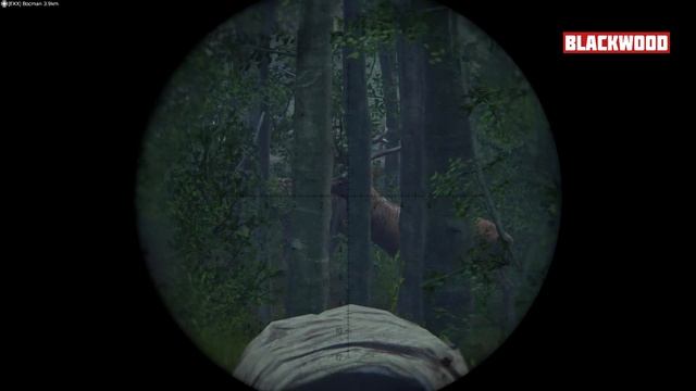 ? ОХОТА НА СЕРВЕРЕ BLACKWOOD - BARRETT M82 DAYZ - ЛИВОНИЯ  [blackwood-dayz.ru]