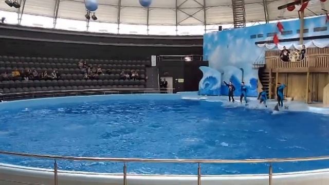 #5. Новосибирск. День 4. Дельфинарий. Океанариум. Отзывы смотреть онлайн