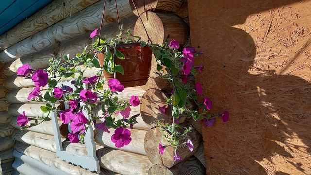 Планы на январь-февраль.