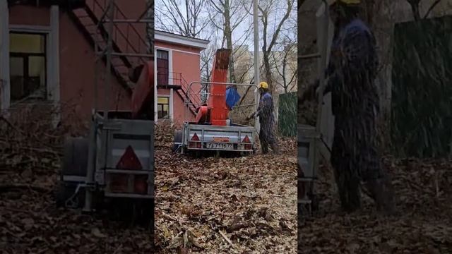 Не откладывайте решение проблемы вывоза веток на потом – арендуйте измельчитель веток сейчас! смотреть онлайн