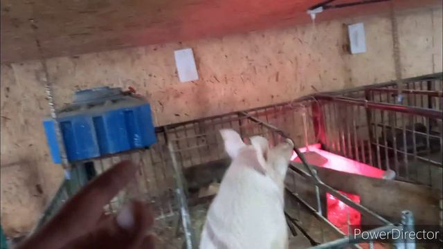 //Всё идёт не по плану!!! //что делать дальше ??? смотреть онлайн