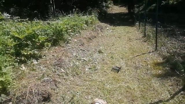 25.06.21.Покос травы. Как стало?.Тример"STIHL", леска(3).+79241232444 Владимир Стороженко смотреть онлайн