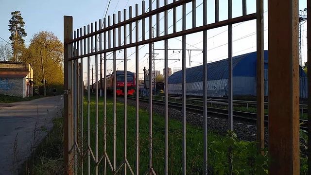 ЭД4М-0469 на перегоне Пушкино - Софрино смотреть онлайн