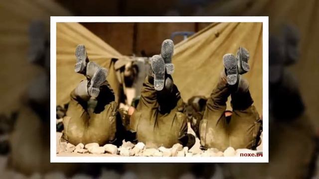 Армия прекрасных половин смотреть онлайн
