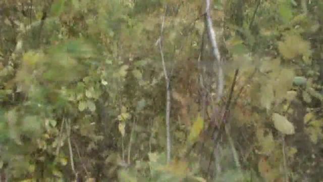 Усть-Илимск каньон илим 15-16 сентября 2012 г смотреть онлайн