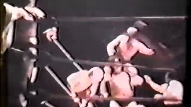 Andre The Giant, Pat Patterson & Peter Maivia vs Karl Von Brauner, D. Savage, M. Mayne & G. Kaiser смотреть онлайн