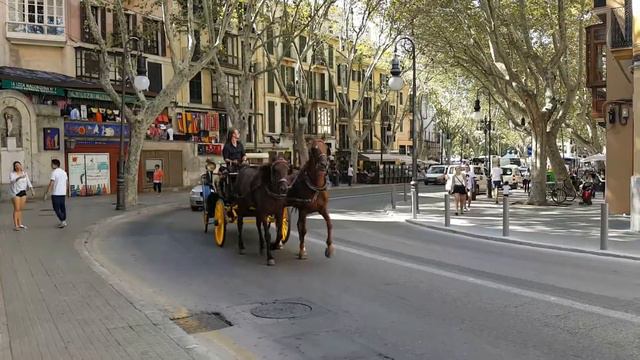 Horse and Carriage in Palma, Majorca 3rd October 2016 смотреть онлайн
