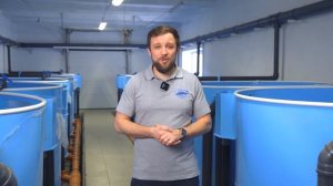 Как ИНКУБИРУЕТСЯ ИКРА на рыбоводной ФЕРМЕ УЗВ? | Все об ИНКУБАЦИИ видов рыб ВЫРАЩИВАЕМЫХ в УЗВ