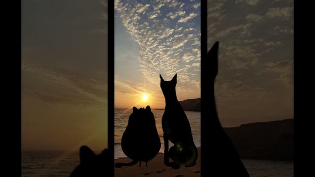 лучшие друзья. Мини фильм про друзей ☺️☺️☺️🌸☘️🌺 смотреть онлайн