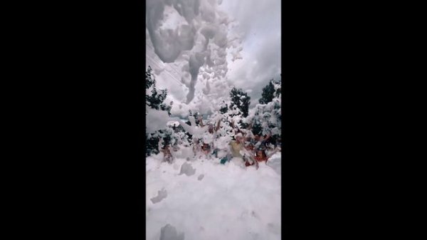 Profi eventproducts +79777820003