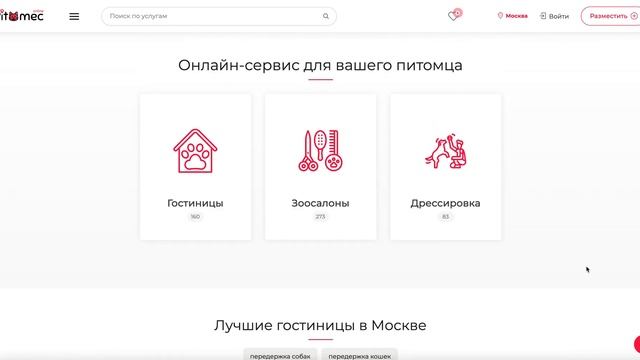Маркетплейс услуг для домашних животных в Москве смотреть онлайн