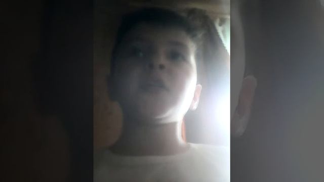 Какое самое большое млекопитающее. смотреть онлайн