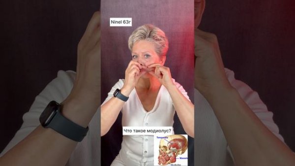 Что такое модиолус?