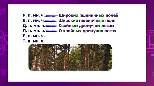 Русский язык. 4 класс. Склонение имен прилагательных во множественном числе /02.12.2020/ смотреть онлайн