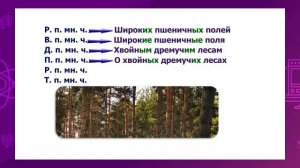 Русский язык. 4 класс. Склонение имен прилагательных во множественном числе /02.12.2020/