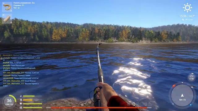 РР4 Осётр Восточносибирский смотреть онлайн