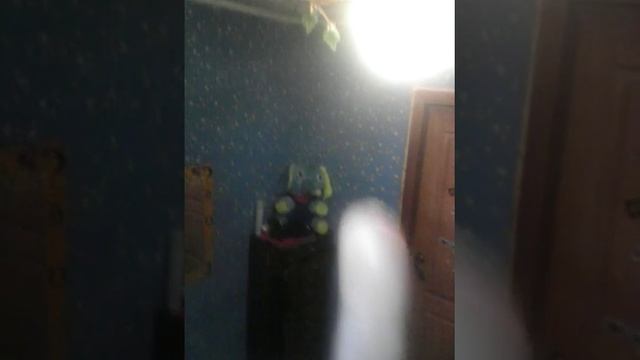 Как показать фак слонику смотреть онлайн