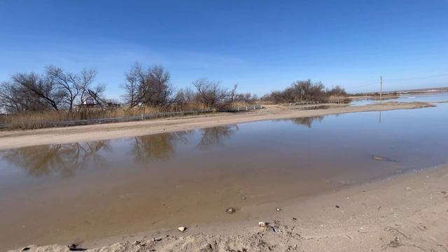 Всё пошло не по плану!Шок😲 Оленевка сегодня. Пляж Маями,Глэмпинг, EXSTREME Крым. смотреть онлайн