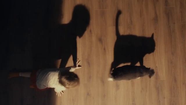 Брусника про одно из самого главного в квартире — свет смотреть онлайн