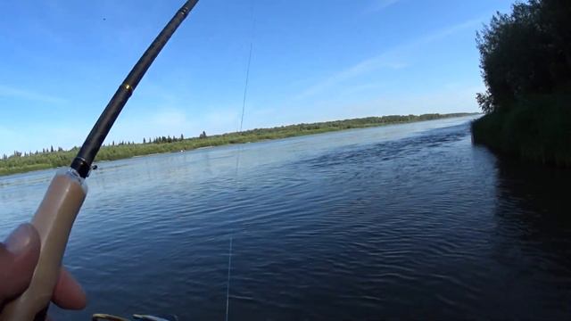 Диповые крэнки и шэды на спиннинг в бесклевье с берега на Оби смотреть онлайн