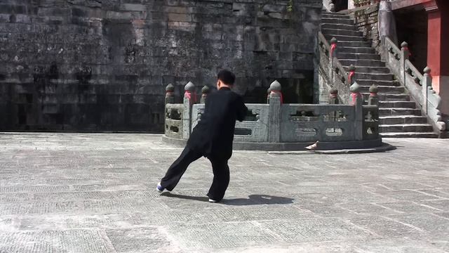 Ван Лин. Тайцзицуань 42 формы Ян (вид сбоку).mp4 смотреть онлайн